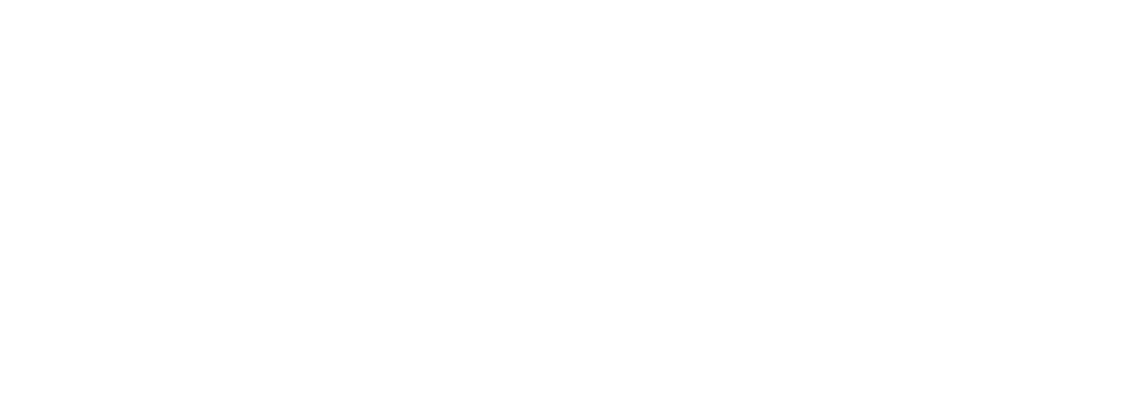footer logo 09