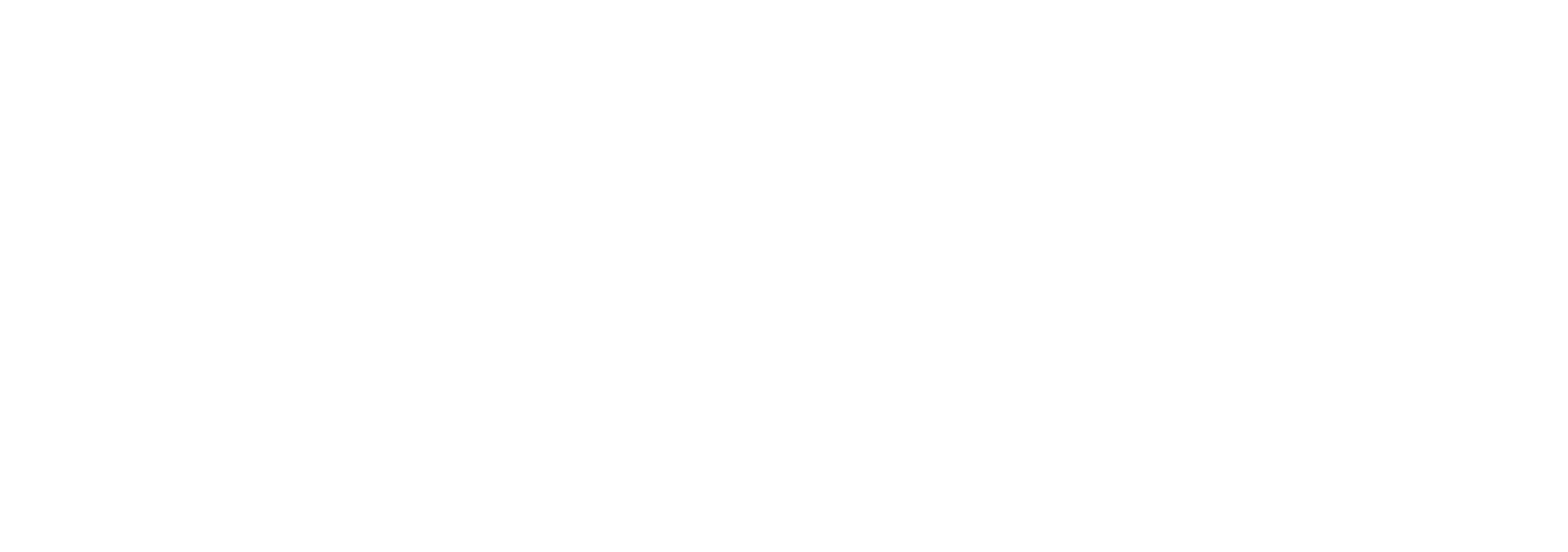 footer logo 09